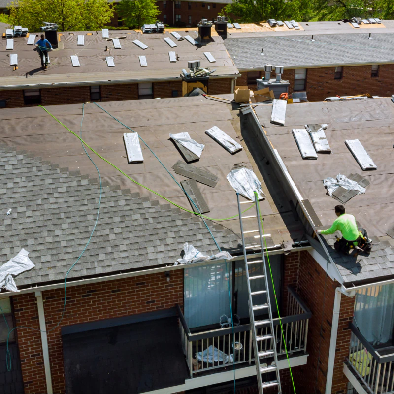 Roof Leak Repair Specialist